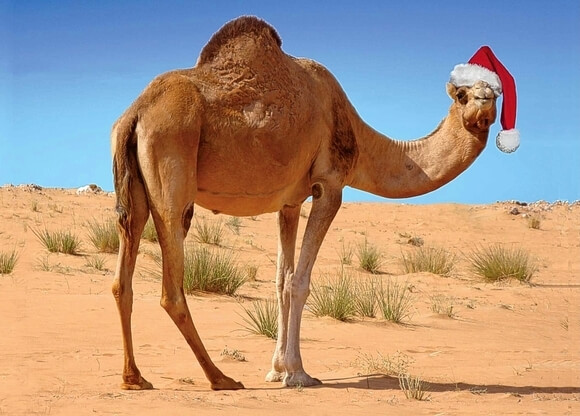 Christmas in morocco
