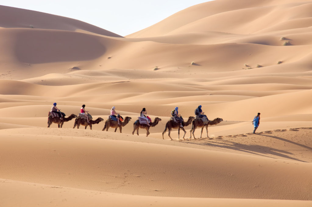 Desert tour from Marrakech to Zagora